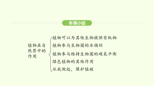 第三单元-第二章-第四节-植物在自然界中的作用课件-2024-2025学年七年级生物下学期人教版(2