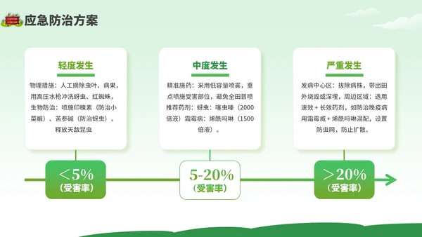 绿色卡通风现代农业种植技术PPT模板