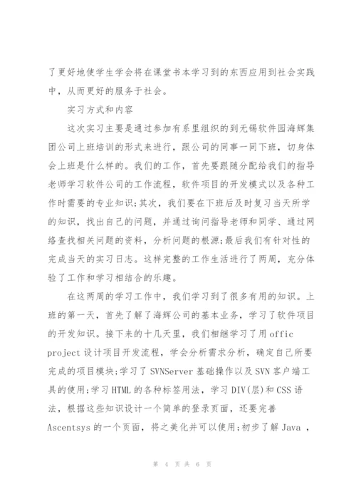 软件开发个人实习工作总结.docx