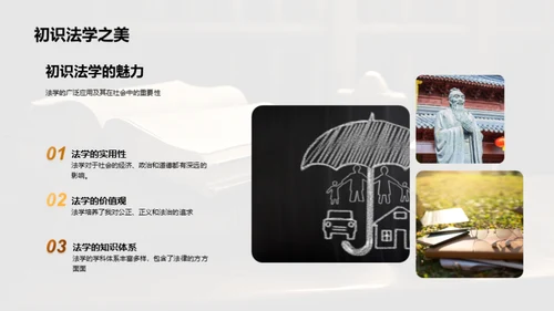 法学教育：我为改革献策
