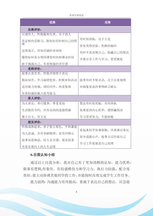 13页4700字软件工程专业职业生涯规划.docx