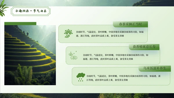 绿色谷雨二十四节气ppt模板