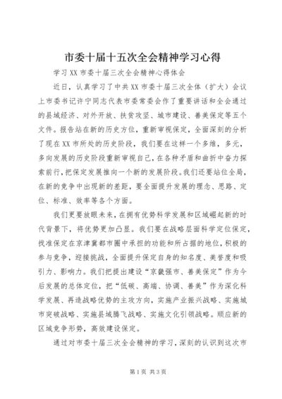 市委十届十五次全会精神学习心得_1 (2).docx