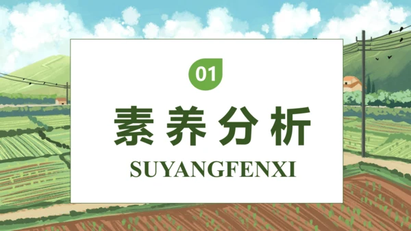 【核心素养】部编版语文四年级下册-2.乡下人家 第2课时（课件）