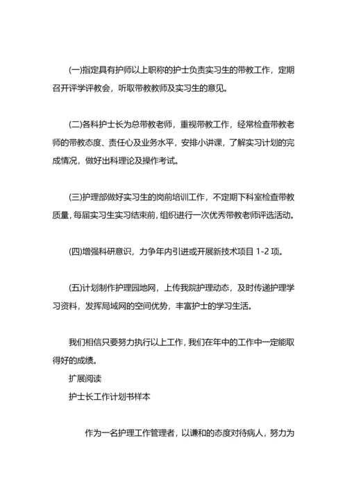 护士长工作计划书.docx