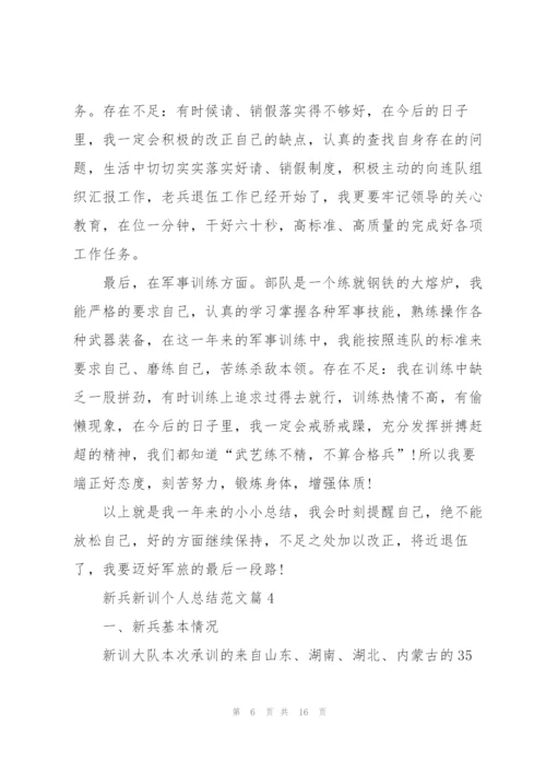 新兵新训结束个人总结5篇.docx