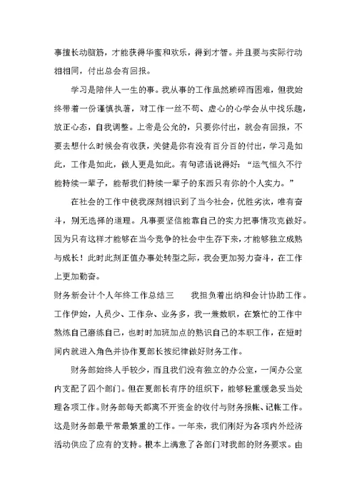 财务新会计个人年终工作总结