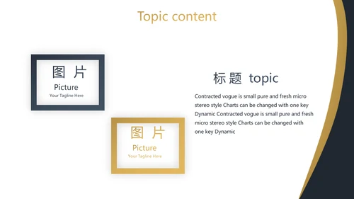 简约高档尊贵银行工作总结动态PPT模板