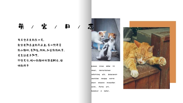 简约宠物萌宠画册电子相册通用PPT模板