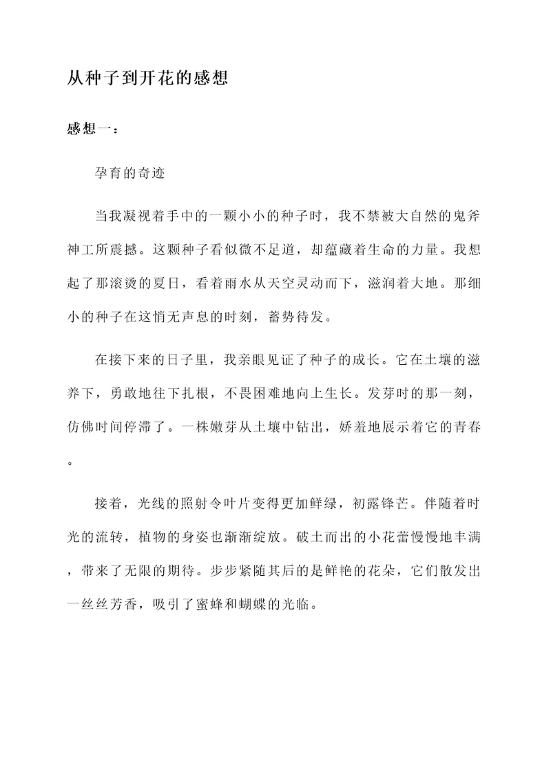 从种子到开花的感想