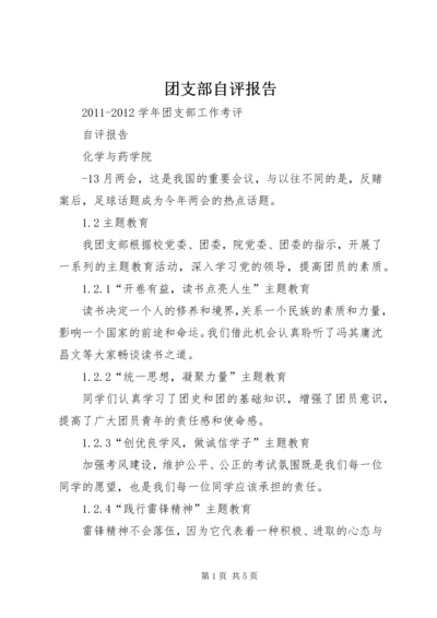 团支部自评报告 (4).docx