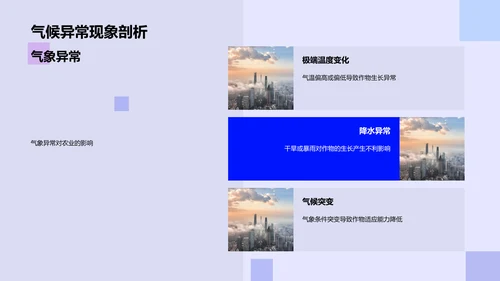 大寒气候影响报告