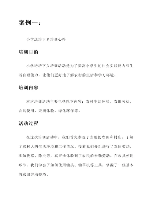 小学送培下乡培训心得