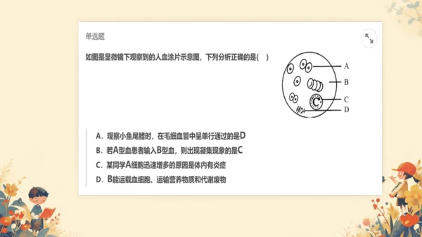 初中生物学人教版（新课程标准）七年级下册4. 4.4输血与血型课件(共21张PPT)