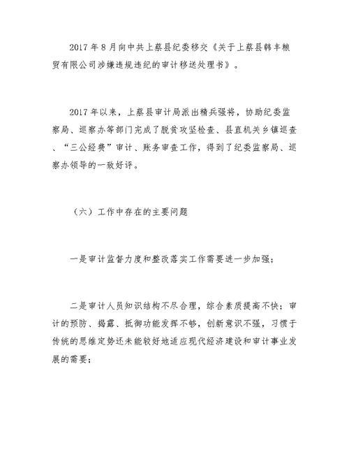 关于审计局集中调研汇报材料