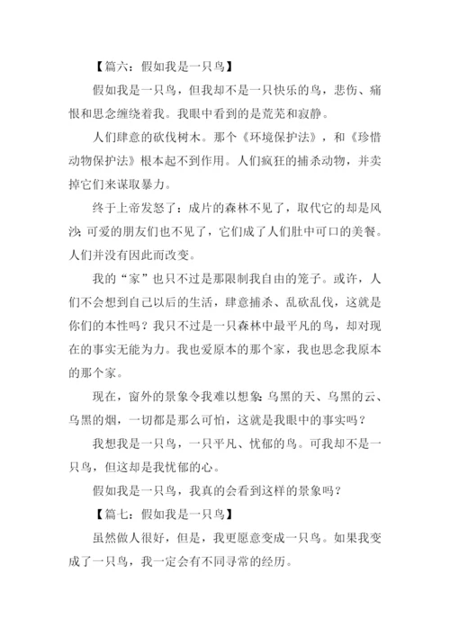 假如我是一只鸟作文350字.docx