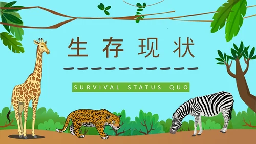野生动物保护公益活动PPT模板