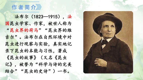 第21课《蝉》课件