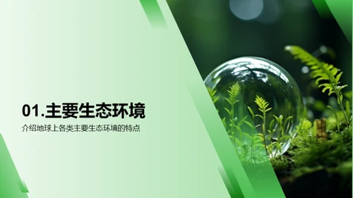 生态环境保护之道