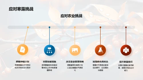 探索寒露节气