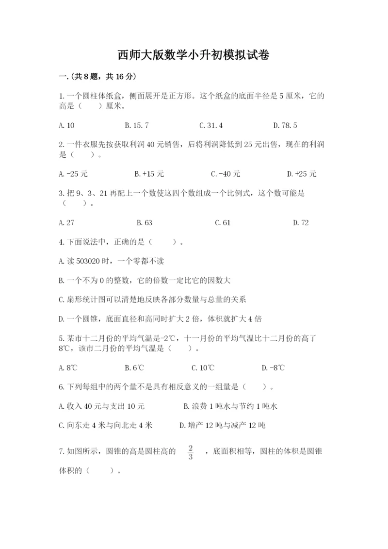 西师大版数学小升初模拟试卷精品【典优】.docx