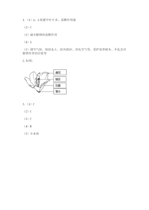 科学四年级下册第一单元《植物的生长变化》测试卷【必刷】.docx