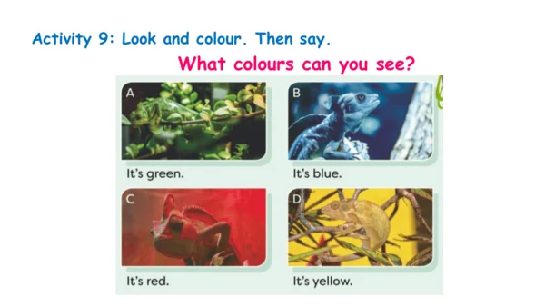 Unit 3 It's a colourful world! Hit it big, Wrap up