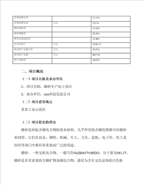 硼砂生产加工项目规划建设方案74页