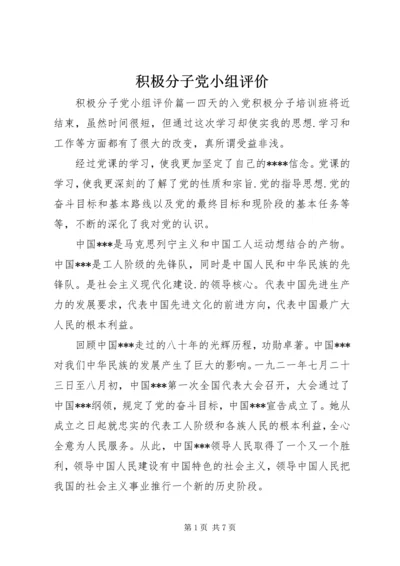 积极分子党小组评价.docx