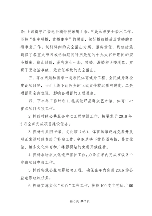 文化新闻出版广电和体育局XX年上半年工作总结及下半年工作计划.docx