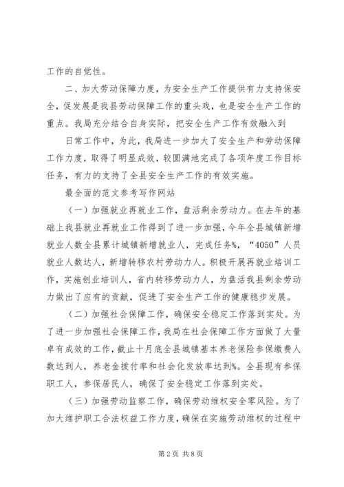 人社局安全生产工作总结.docx