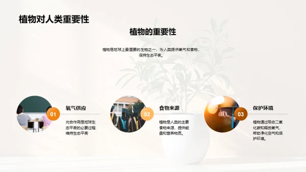 揭秘植物生长奇观