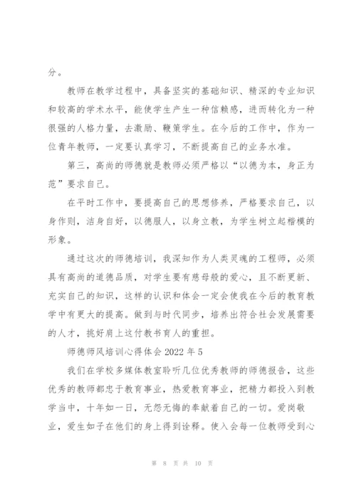 师德师风培训心得体会2022年范文5篇.docx