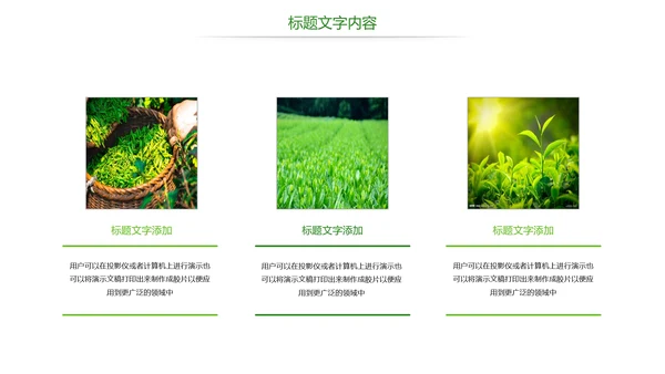 唯美绿色茶园文化茶艺品茶论道PPT模板