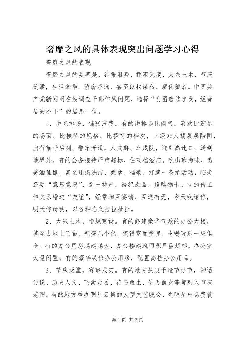 奢靡之风的具体表现突出问题学习心得 (2).docx