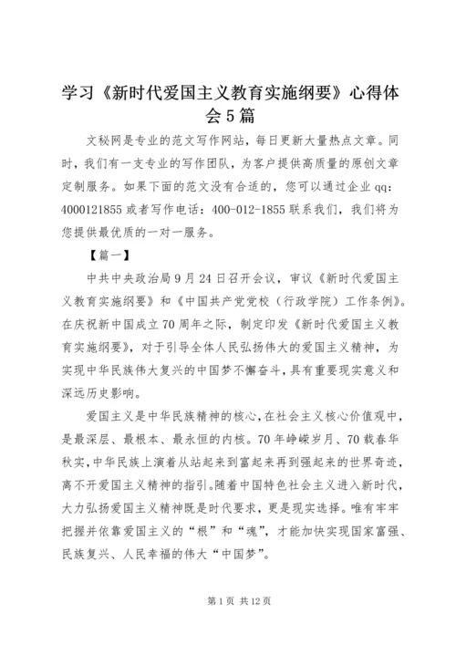 学习《新时代爱国主义教育实施纲要》心得体会5篇.docx