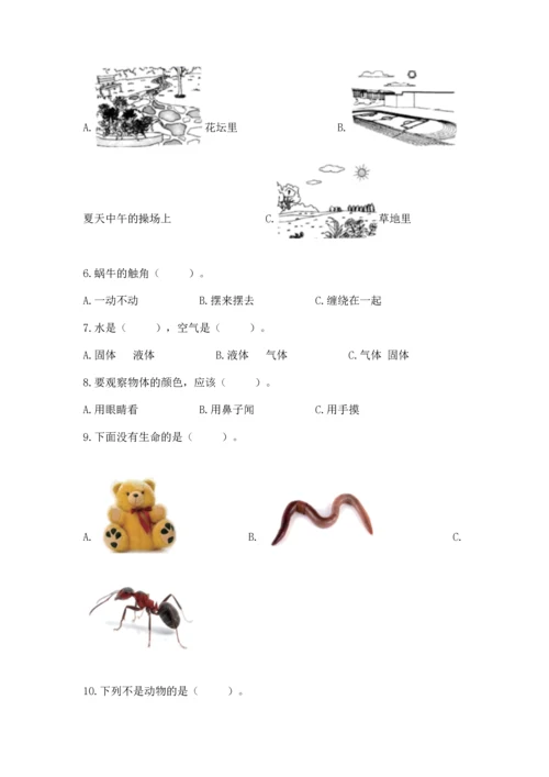 教科版一年级下册科学期末测试卷【考点梳理】.docx