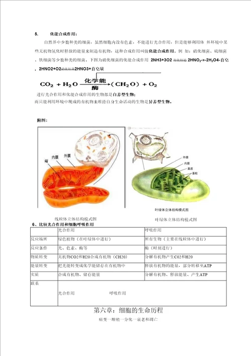 高中生物必修一会考高考必备知识点大全