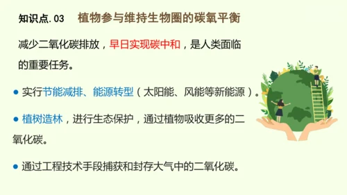 3.2.4植物在自然界中的作用-七年级生物下学期同步精品课件（2024人教版）(共27张PPT)