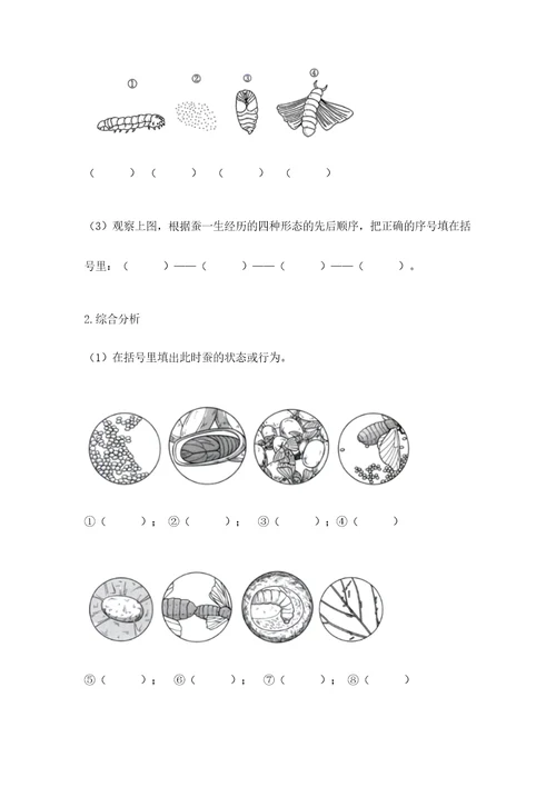 教科版科学三年级下册第二单元《动物的一生》测试卷各版本