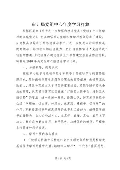 审计局党组中心年度学习打算.docx