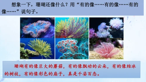 18.富饶的西沙群岛   课件