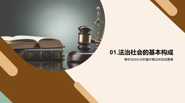 法治社会深度解析