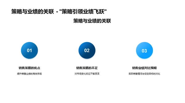 销售策略全年总评