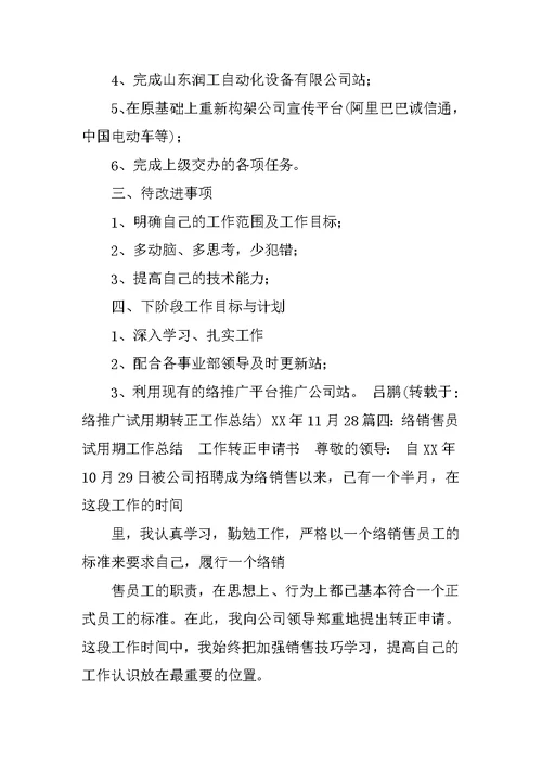 网络销售试用期工作总结