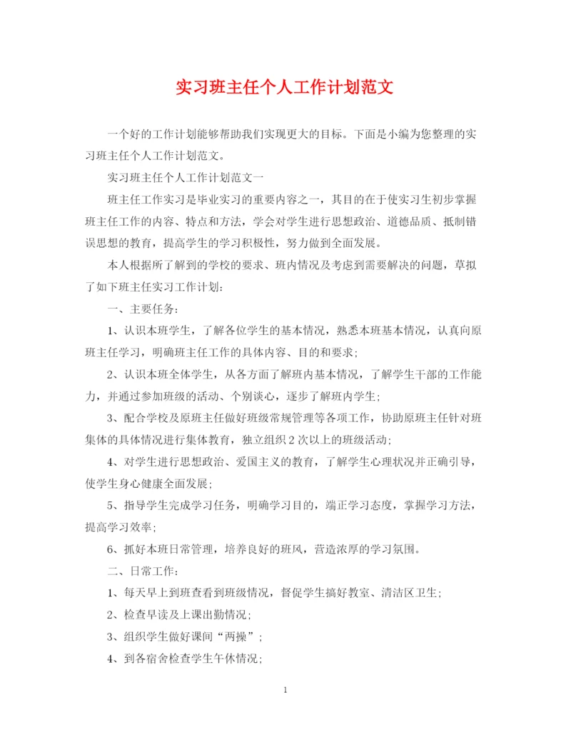 精编之实习班主任个人工作计划范文.docx