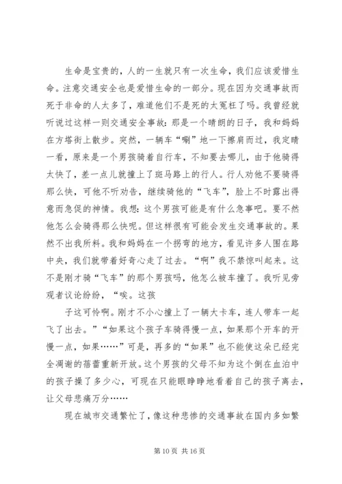 关爱生命,安全出行.docx