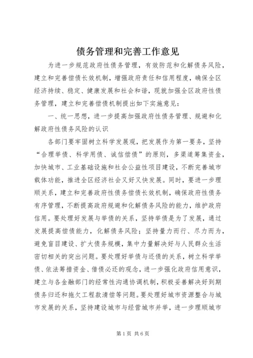 债务管理和完善工作意见_1.docx