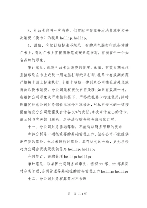 审计报告真实范文.docx