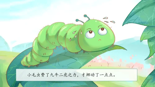 22《小毛虫》课件